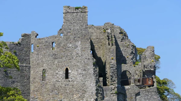 King John Castle Carlingford Lough Louth Írország — Stock Fotó