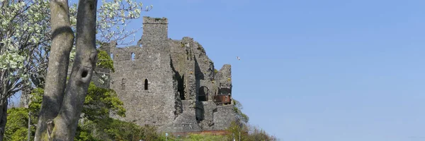 Zamek Króla Jana Carlingford Lough Louth Irlandia — Zdjęcie stockowe