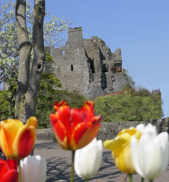 King John Castle Carlingford Lough Louth Ireland — ストック写真