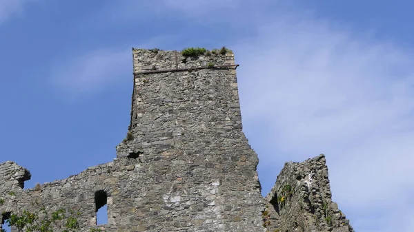卡林福德口爱尔兰的约翰国王城堡 — 图库照片