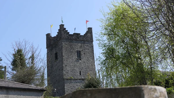 Carlingford Heritage Centre Carlingford County Louth Ireland照片 — 图库照片