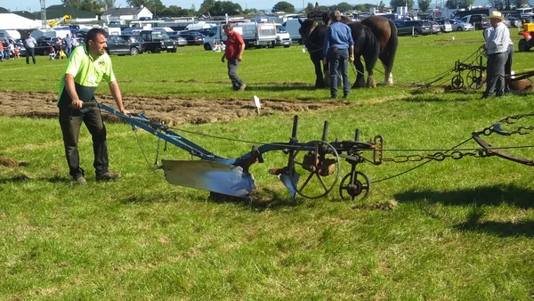 Horses Working Farm Machinery National Ploughing Championships Carlow Ireland — 图库照片