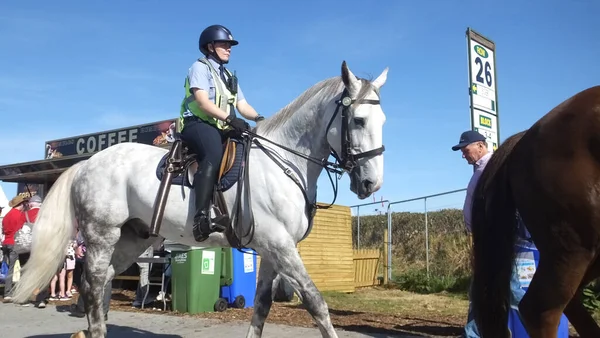 Police Horse National Ploughing Championships Carlow Ireland — 图库照片