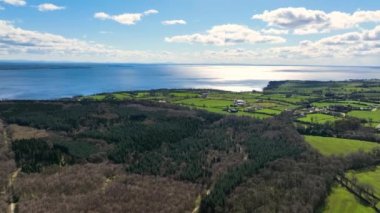 Aerial Video of Randalstown Forest on Lough Neagh Co Antrim Northern Ireland
