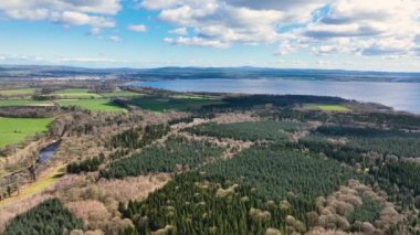 Aerial Video of Randalstown Forest on Lough Neagh Co Antrim Northern Ireland