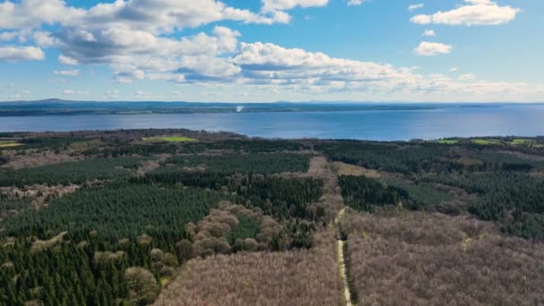 Aerial Video Randalstown Forest Lough Neagh Antrim Northern Ireland — Stock video