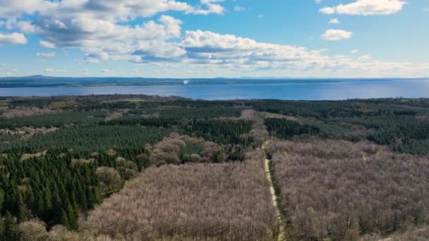 Aerial Video Randalstown Forest Lough Neagh Antrim Northern Ireland — Stockvideo