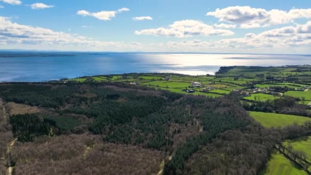 Aerial Video Randalstown Forest Lough Neagh Antrim Northern Ireland — стокове відео