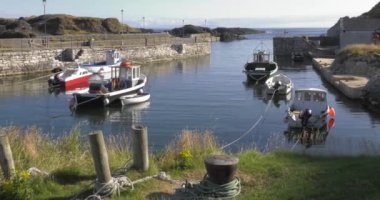 Ballintoy Harbour near Giants Causeway Co Antrim Northern Ireland