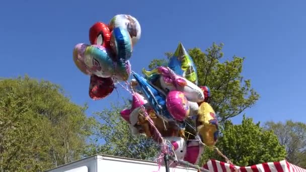 Children Enjoying Shanes Castle May Day Steam Rally Estate Antrim — Video