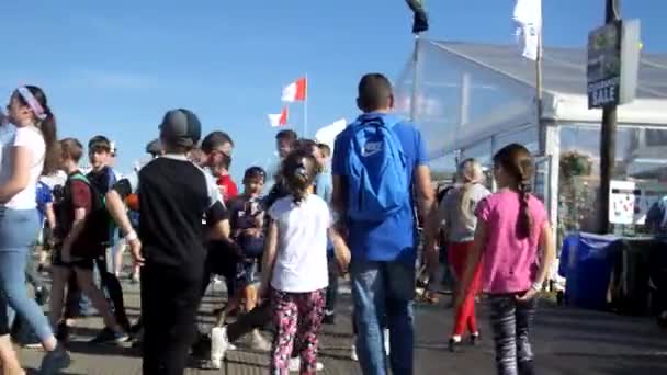 Πλήθη Στο Εθνικό Πρωτάθλημα Ploughing Carlow Ιρλανδίας Στις Σεπτεμβρίου 2019 — Αρχείο Βίντεο