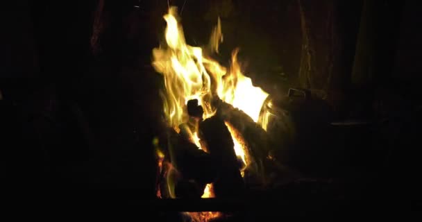 Peat Turf Burning Open Fire Bog Ireland — Video Stock