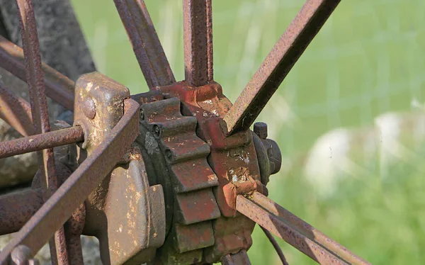 Rake Fieno Trainato Cavallo Utilizzato Rastrellare Erba — Foto Stock