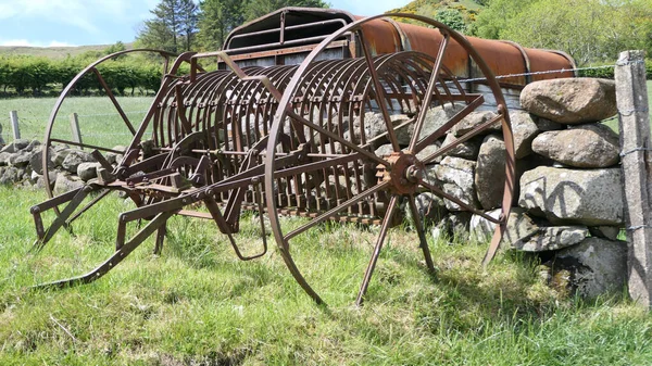 Râteau Foin Tiré Par Des Chevaux Utilisé Pour Ratisser Herbe — Photo