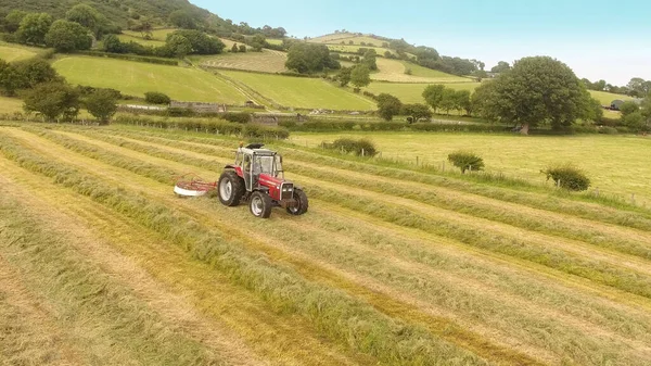 Massey Ferguson 390T Rodd Gräs För Ensilage — Stockfoto