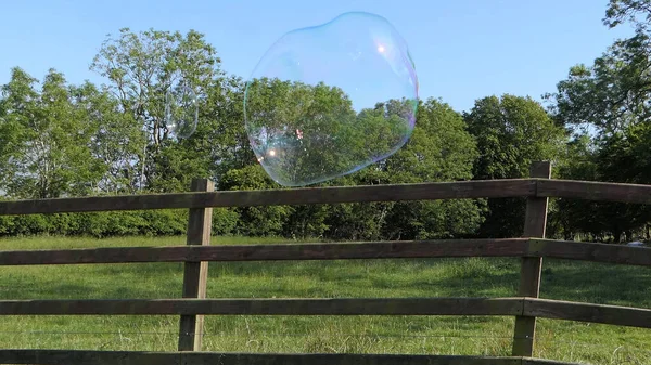 Burbuja Jabón Gigante Con Una Varita Burbuja —  Fotos de Stock