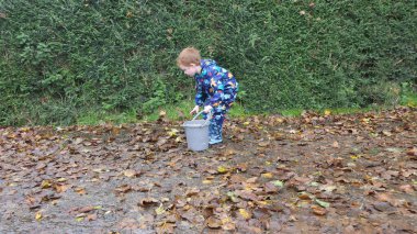 Sonbaharda ormanda yaprak toplayan bir çocuk. 