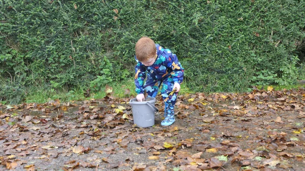 Dziecko Podnoszące Liście Wiadra Lesie Jesienią — Zdjęcie stockowe