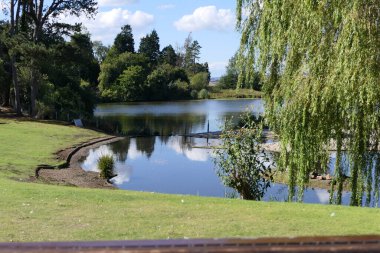 Espie Kalesi Wetland Bölgesi Yaban Kuşları ve Wetlands Trust Strangford Lough Comber Co. Kuzey İrlanda