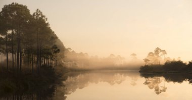 Gölün kıyısında sakin bir yaz sabahı