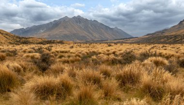 Sonbaharda Yeni Zelanda 'da, arka planda dağ olan kuru çayır.