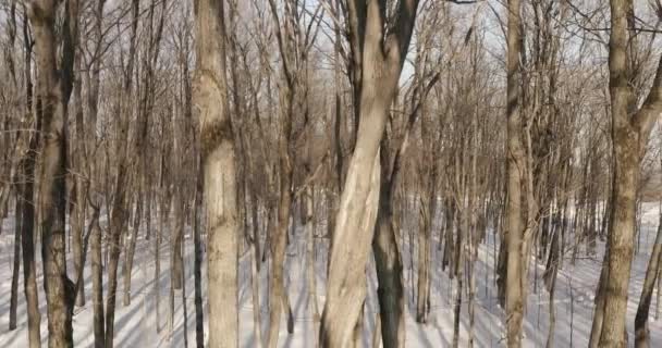 Fazenda Bordo Inverno — Vídeo de Stock