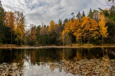 Sergievka Parkı 'nda bulutlu bir sonbahar günü