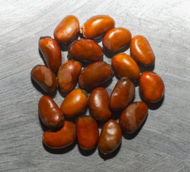 pawpaw seeds on grey slate background. Florida native Asimina obovata