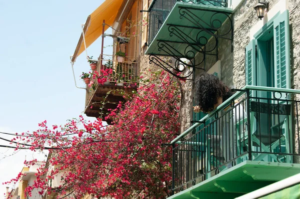 Yunanistan Nafplio Kentindeki Bir Balkonda Renkli Çiçekler Güzel Şehrin Merkezindeki — Stok fotoğraf