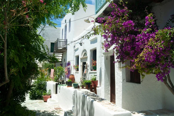 Bunte Blumen Insel Folegandros Griechenland Straßenszene Schönen Alten Dorf Typisch — Stockfoto