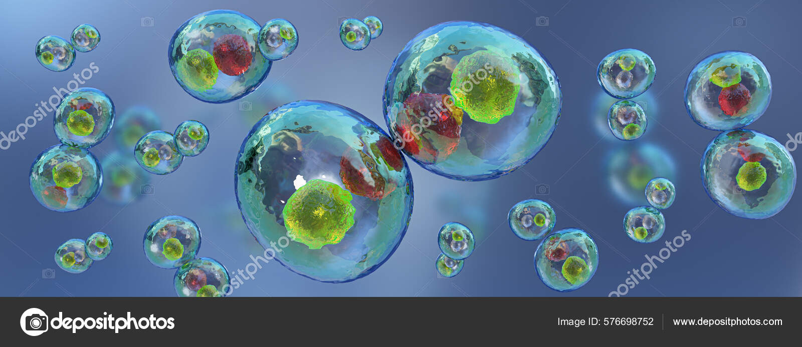 Cell Division Microscope Human Cell Animal Cells Illustration Stock Photo  by ©GrafiThink 576698752