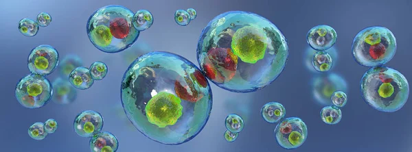 Cell division under the microscope. Human cell, animal cells,3d illustration.