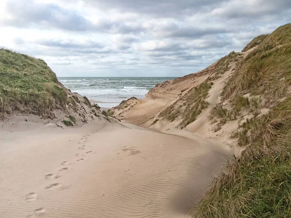 Strandzugang Den Dünen Der Dänischen Nordseeküste Jütland Bei Norre Vorupor — Stockfoto