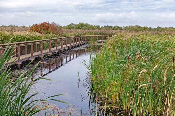 Wooden Jetty Vejlerne National Park North Jutland Denmark — Stock Photo, Image