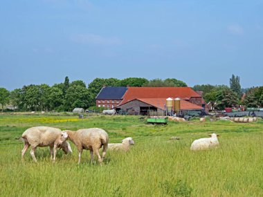 Sudbrookmerland, Ostfriesland, Almanya - 18 Haziran 2021: Munkeboe, Doğu Frizya 'da bir galeri kömürü