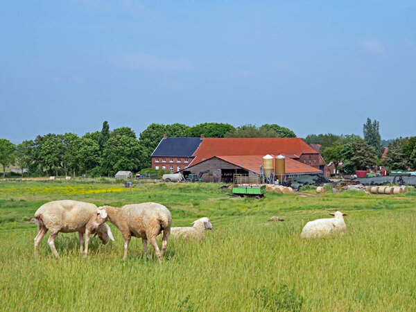 Зудбрукмерланд, Фрисланд, Германия - 18 июня 2021 года: Милль Мбаппе, галерея в Восточной Фризии
