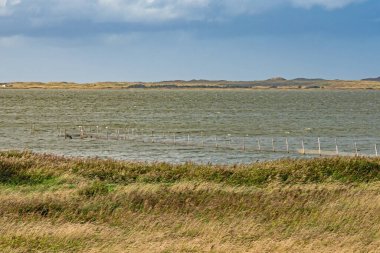 Flade Gölü 'nün sığ manzarası Danimarka' nın Jutland kentindeki Ulusal Parkı
