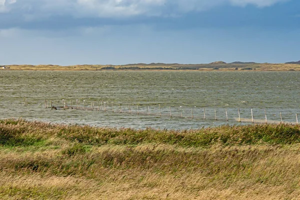 Flade Gölü 'nün sığ manzarası Danimarka' nın Jutland kentindeki Ulusal Parkı