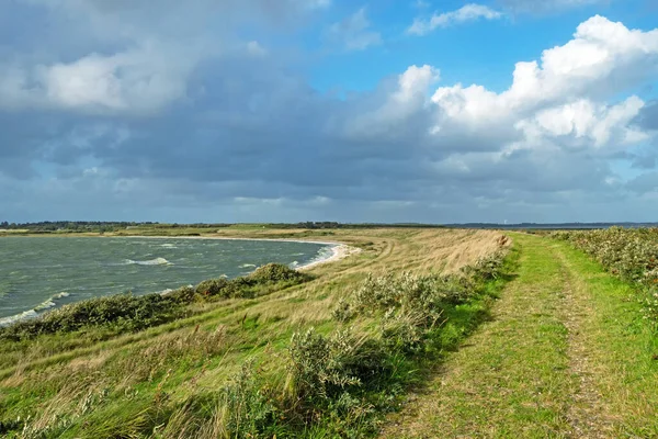 Landschaft Dänischen Nationalpark Thy Bei Flade Sommer Jütland — Stockfoto