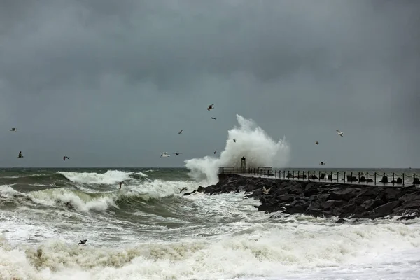 Seagulls Hunting Stormy Sea Front Lighthouse Overturned Sea Vorupor Denmark — стоковое фото