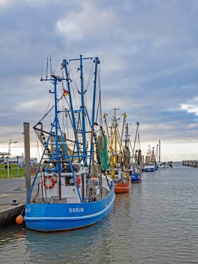 Dorum-Neufeld, Aşağı Saksonya, Almanya - 14 Eylül 2022: Aşağı Saksonya Kuzey Denizi kıyısındaki Dorum-Neufeld limanında renkli balıkçı tekneleri.