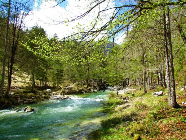 Scénická Řeka Mostnica Soutěsce Mostnica Juliánských Alpách Triglavském Národním Parku — Stock fotografie