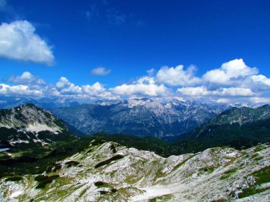 Julian Alpleri 'ndeki Trenta Vadisi' ndeki dağların manzarası ve Slovenya 'daki Triglav Ulusal Parkı' nın önünde sürünen çam ve tarla ormanlarıyla kaplı dağların manzarası.