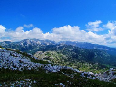 Slovenya 'nın Gorenjska bölgesindeki Julian Alpleri bulutlarla kaplı Triglav dağının manzarası dağların altındaki çayırlarla ve sürünen çam ağaçlarıyla kaplı.