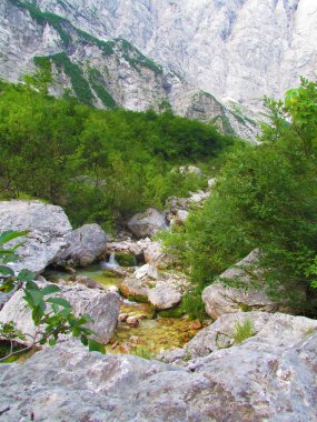 Slovenya 'nın Gorenjska bölgesindeki Vrata Vadisi, Julian Alpleri ve Triglav Ulusal Parkı' nda büyük kayalar ve çalı bitkileriyle çevrili.
