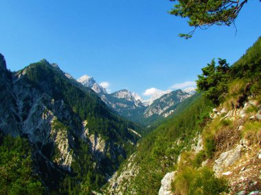 Slovenya 'nın Gorenjska bölgesindeki Alp Dağları' ndaki Pisnica Vadisi ve Triglav Ulusal Parkı 'nın manzarası