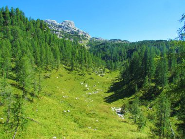Triglav ulusal parkında çimlerle kaplı parlak vadi ve Slovenya 'da Julian Alpleri