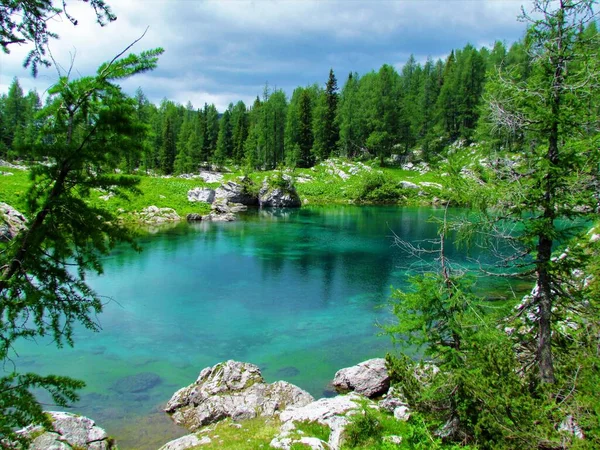 Zelené Jezero Údolí Triglavských Jezer Zelenými Horskými Loukami Modřínovými Lesy — Stock fotografie