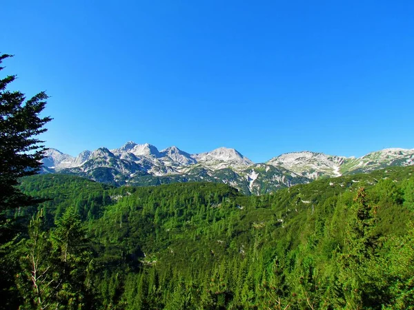 Vue Sur Les Montagnes Des Alpes Juliennes Parc National Triglav — Photo