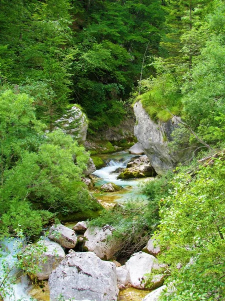 Řeka Soca Údolí Trenta Slovinsku Tekoucí Pod Skalním Útesem Obklopená — Stock fotografie